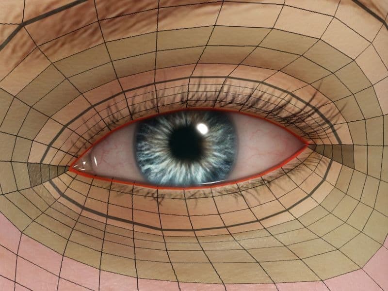 Original CC face topology guide visual from page 17