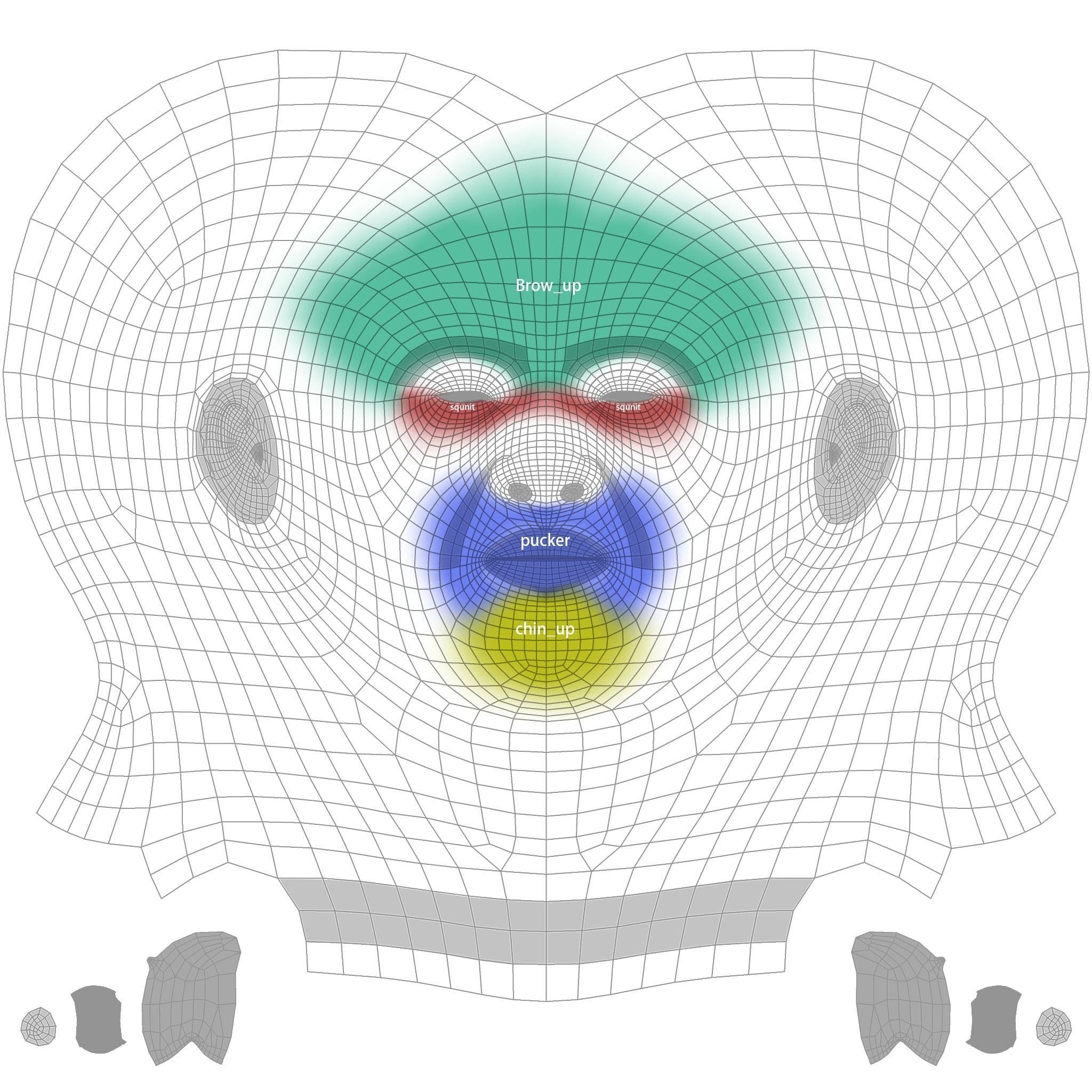 Wrinkle-region topology map from the guide.